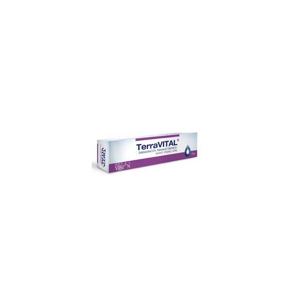 TERRAVITAL 0.5% UNGUENTO OFTALMOLOGICO TUBO X 10 GRS - VITAL VISION